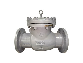 Swing Check Valve